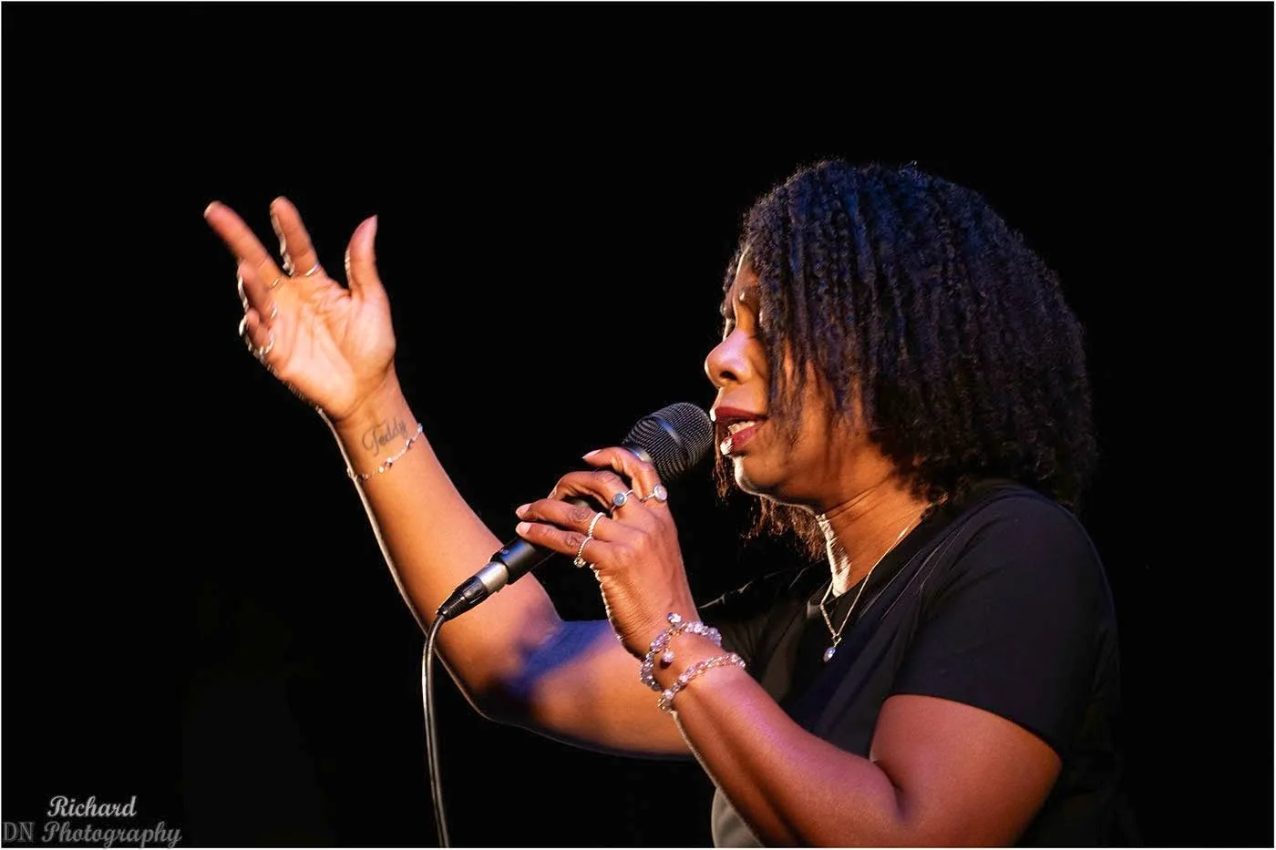 Ibernice MacBean beim Konzert From Ella to Stevie & Burt in Antwerp – Gesang im Profil